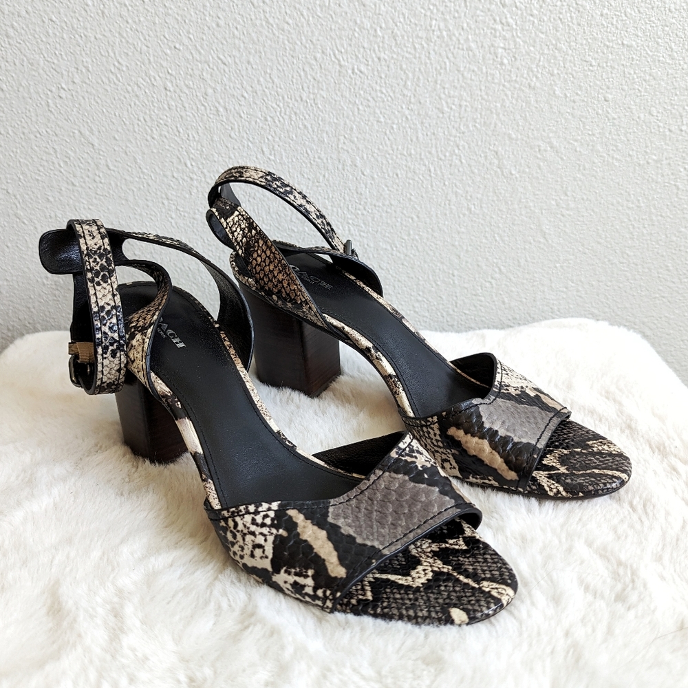 Coach Leather Snake Print Grey/Black/Cream Ankle Strappy Block Sandal Heels
